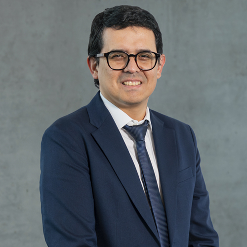 Pablo Salgado Mendoza